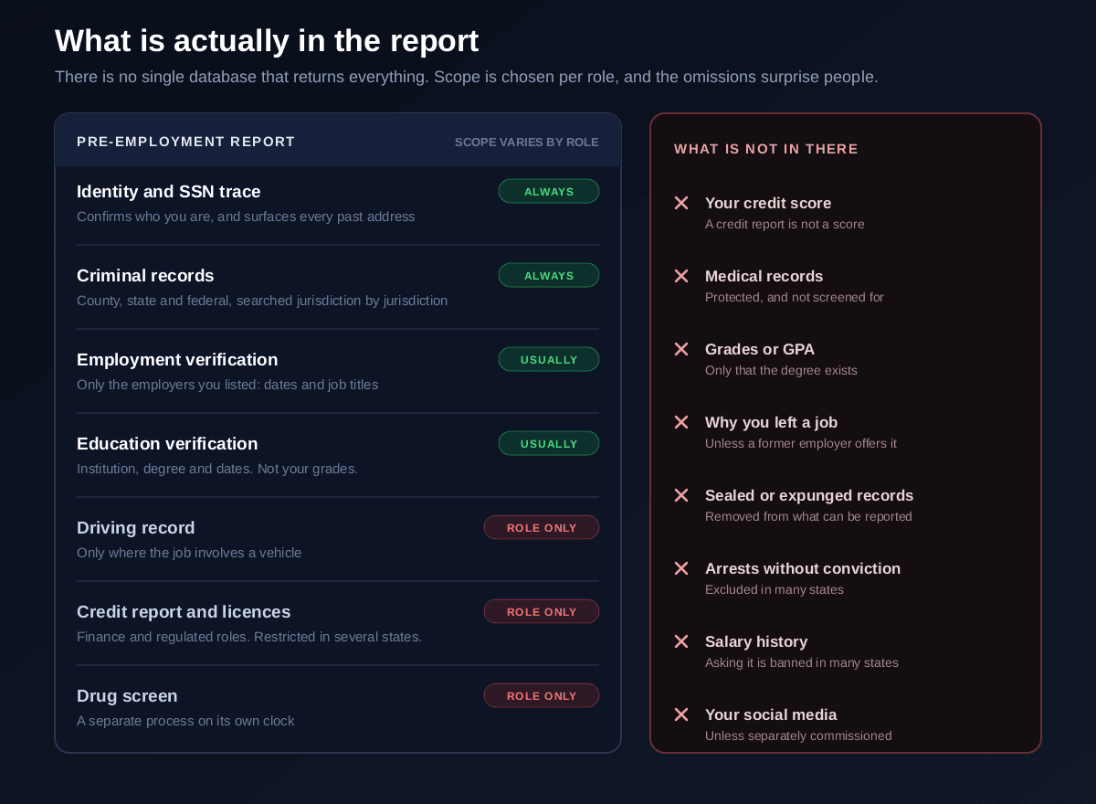 What appears in a typical pre-employment background report, shown as report sections: identity and social security number trace, county state and federal criminal records, employment verification of the jobs you listed, education verification, and role dependent additions such as a driving record, professional licences, a credit report for finance roles and a drug screen, set against what does not appear including your credit score, medical records, school grades, the reason you left a previous job, sealed or expunged records, arrests without conviction in many states, and social media unless separately commissioned
