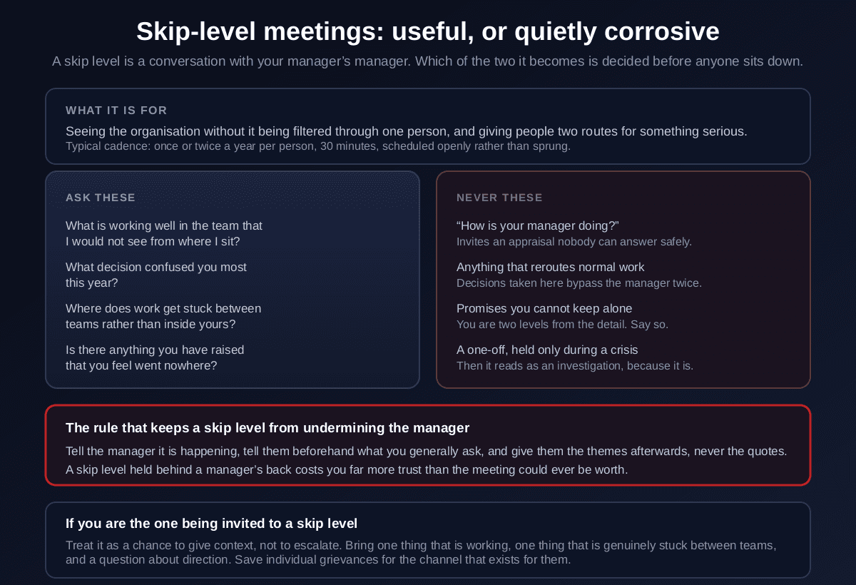 A guide to skip-level meetings showing what they are for, seeing the organisation unfiltered and giving people a second route for something serious at a cadence of once or twice a year, a column of questions to ask about what is working that would not be visible from above and where work gets stuck between teams, a column of questions never to ask including how is your manager doing, and the rule that the manager must be told beforehand and given themes afterwards but never quotes